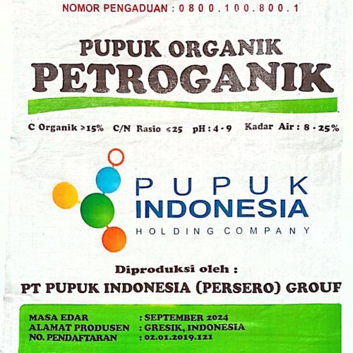 WhatsApp Image 2026-02-13 at 14.41.10